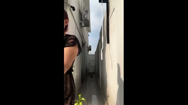 EspaÃ±ol Italiano camello en silla de ruedas cammello su sedia a rotelle 8