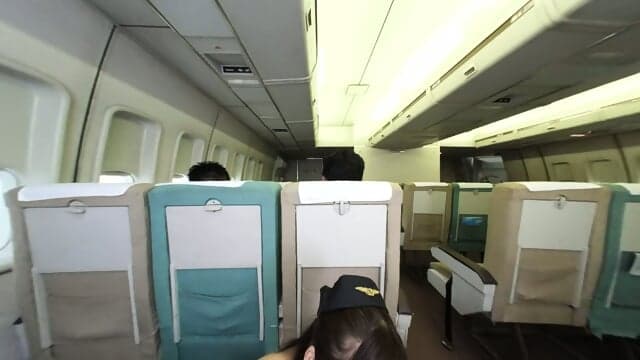 Mayu Suzuki Stewardess VR Porn