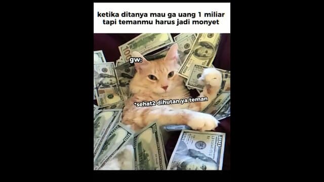 Meme ð¹