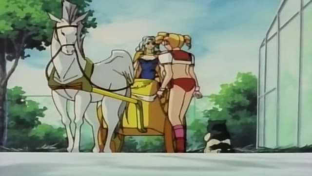 sailor senshi venus five the series