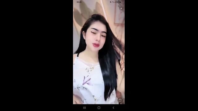 PAMER UTING