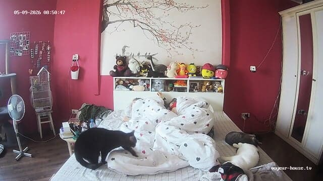 special candid sleeping bare feet closeup scenes Bedroom camera at Gella Winston Wolfe reallifecam apartment at Voyeur House TV 09.05.2026 from 08 h 22 min to 09 h38 min