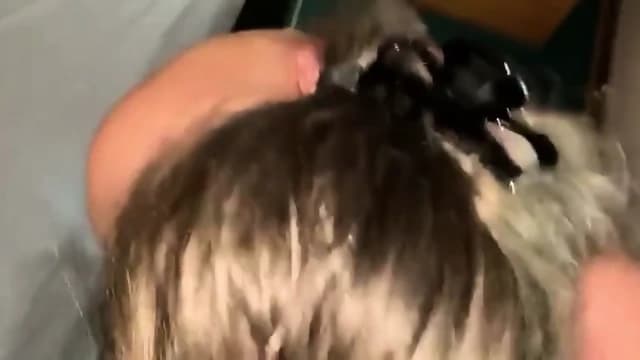First Anal Training At Home