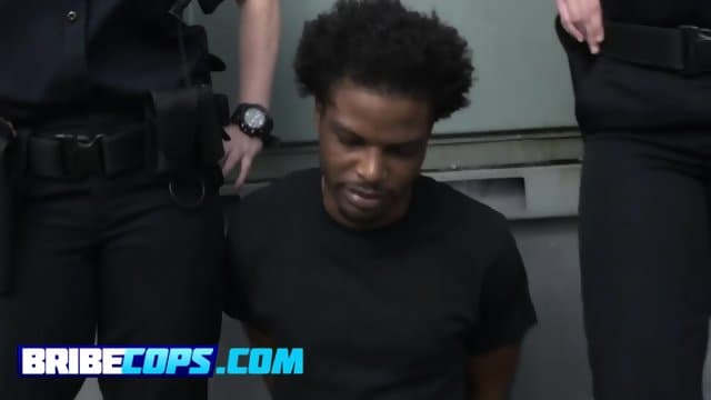 Spoiled police bitches accepting a BBC bribe